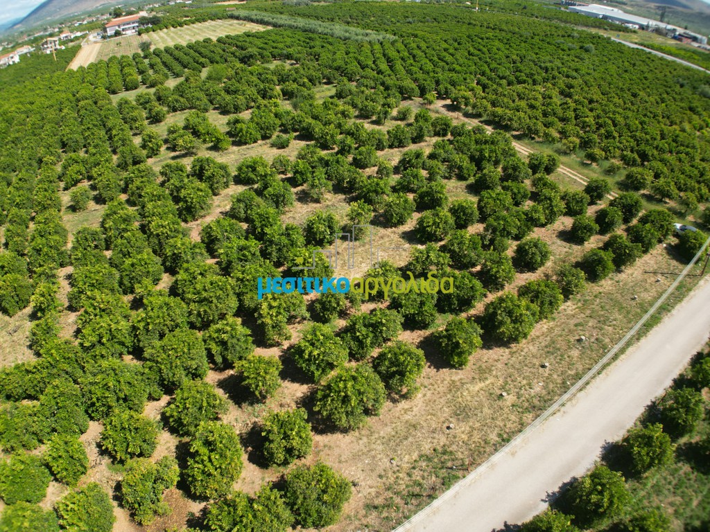 Αγροτεμάχια 10.335 τ.μ. προς πώληση, Αγία Τριάδα Μιδέας