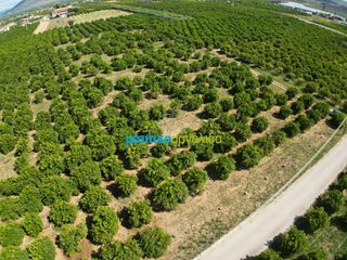 Αγροτεμάχια 10.335 τ.μ. για πώληση, Αργολίδα, Μιδέα-thumb-3