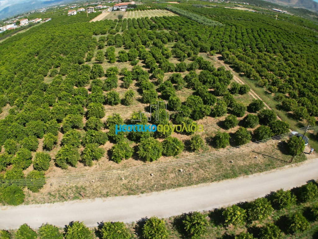 Αγροτεμάχια 10.335 τ.μ. προς πώληση, Αγία Τριάδα Μιδέας