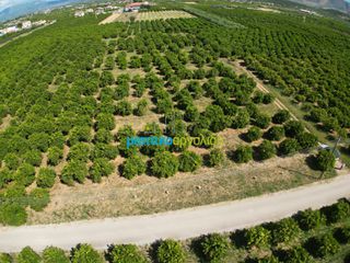 Αγροτεμάχια 10.335 τ.μ. για πώληση, Αργολίδα, Μιδέα-thumb-2