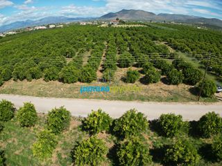 Αγροτεμάχια 10.335 τ.μ. για πώληση, Αργολίδα, Μιδέα-thumb-15