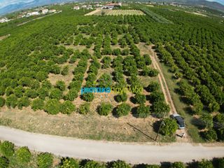 Αγροτεμάχια 10.335 τ.μ. για πώληση, Αργολίδα, Μιδέα-thumb-1