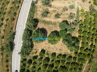 Αγροτεμάχια 809,20 τ.μ. πρός πώληση, Αργολίδα, Άργος-thumb-8