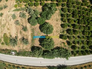Αγροτεμάχια 809,20 τ.μ. πρός πώληση, Αργολίδα, Άργος-thumb-7