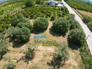Αγροτεμάχια 809,20 τ.μ. πρός πώληση, Αργολίδα, Άργος-thumb-5