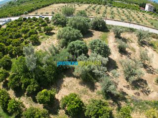 Αγροτεμάχια 809,20 τ.μ. πρός πώληση, Αργολίδα, Άργος-thumb-3