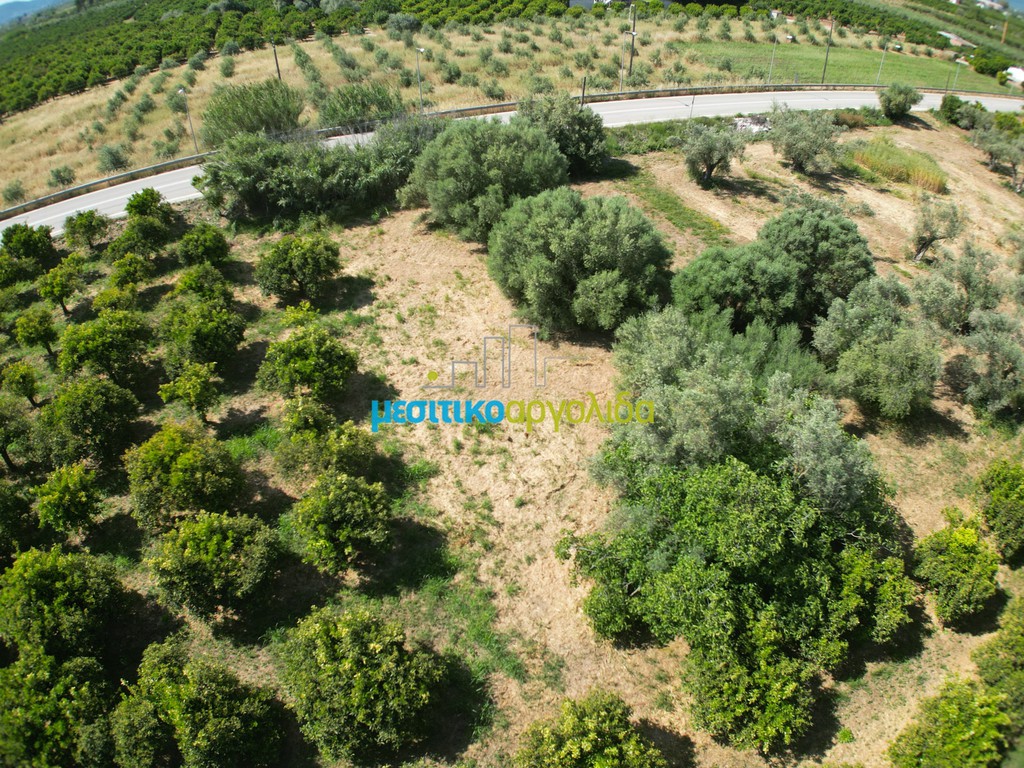Αγροτεμάχια 809,20 τ.μ. προς πώληση, Πυργέλλα