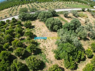 Αγροτεμάχια 809,20 τ.μ. πρός πώληση, Αργολίδα, Άργος-thumb-1