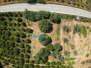 Αγροτεμάχια 809,20 τ.μ. πρός πώληση, Αργολίδα, Άργος-thumb-9