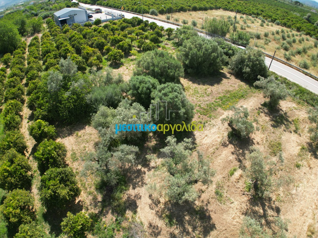 Αγροτεμάχια 809,20 τ.μ. προς πώληση, Πυργέλλα