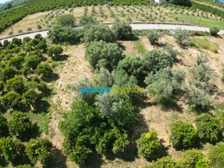 Αγροτεμάχια 809,20 τ.μ. πρός πώληση, Αργολίδα, Άργος-thumb-2