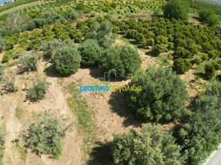 Αγροτεμάχια 809,20 τ.μ. πρός πώληση, Αργολίδα, Άργος-thumb-6