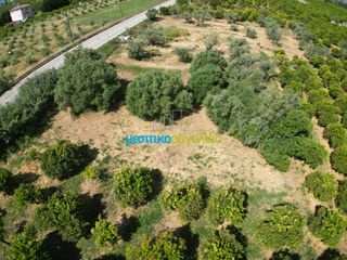 Αγροτεμάχια 809,20 τ.μ. για πώληση