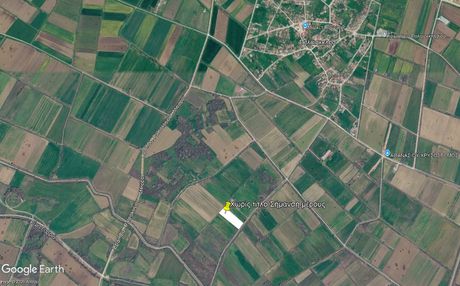 Αγροτεμάχια 8.000 τ.μ. προς πώληση