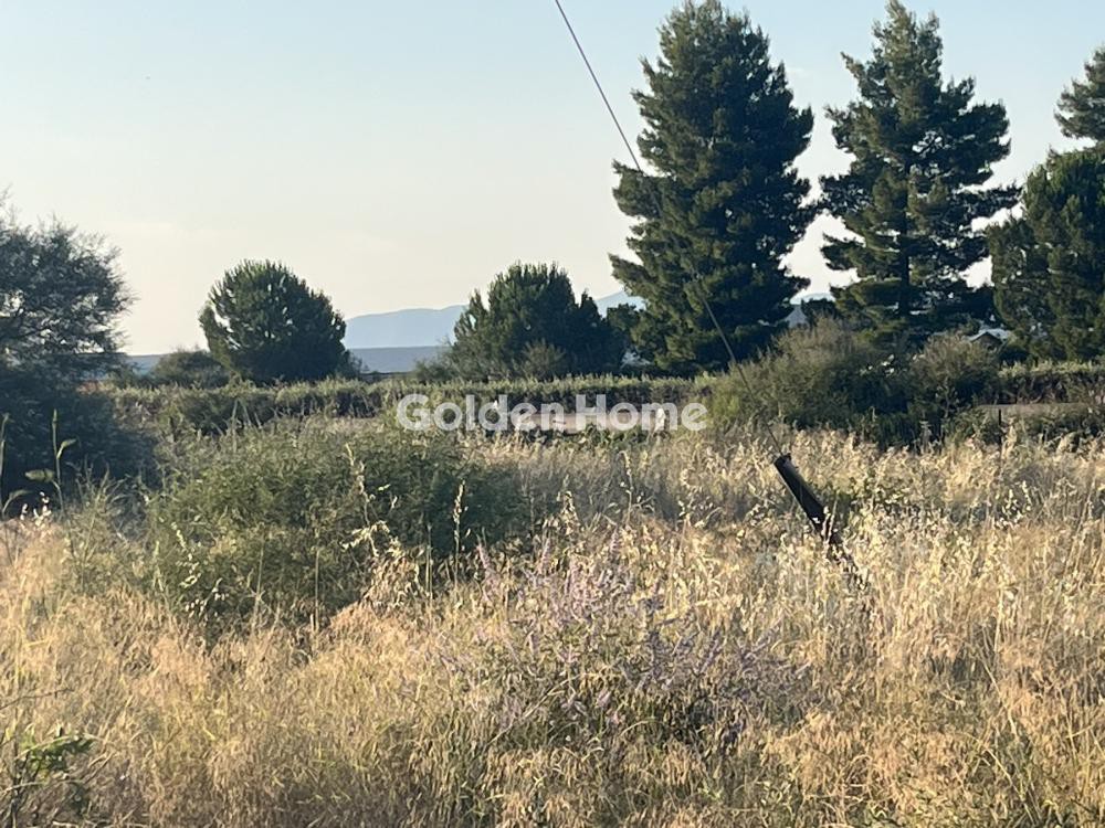 Αγροτεμάχια 4.300 τ.μ. προς πώληση, Κυπαρίσσι Αταλάντης