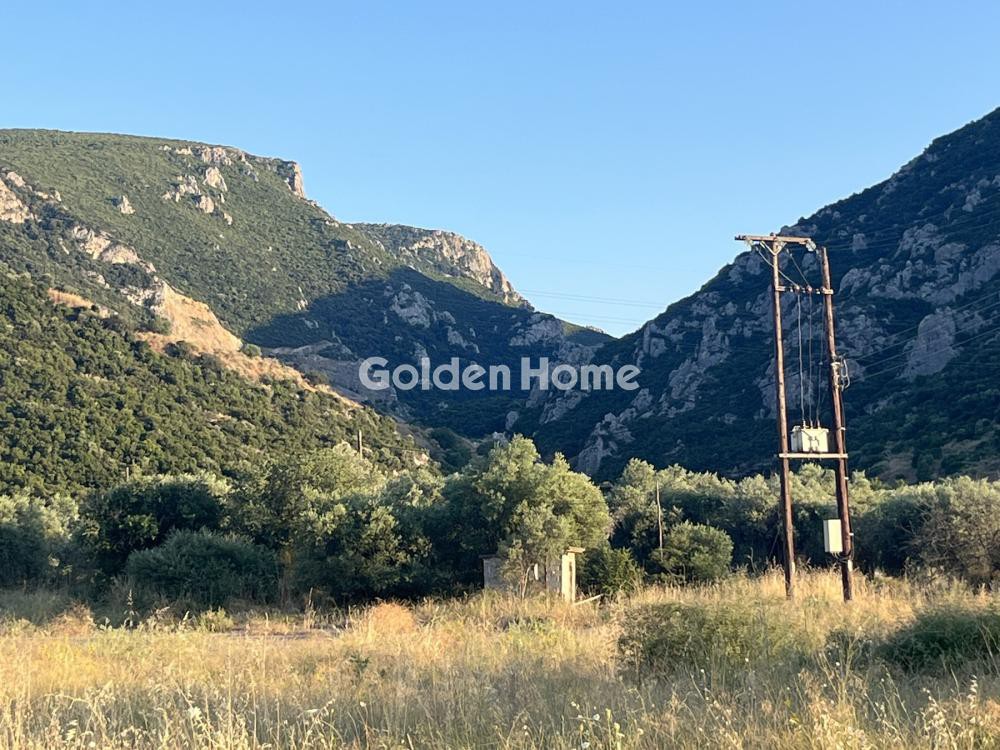 Αγροτεμάχια 4.300 τ.μ. προς πώληση, Κυπαρίσσι Αταλάντης