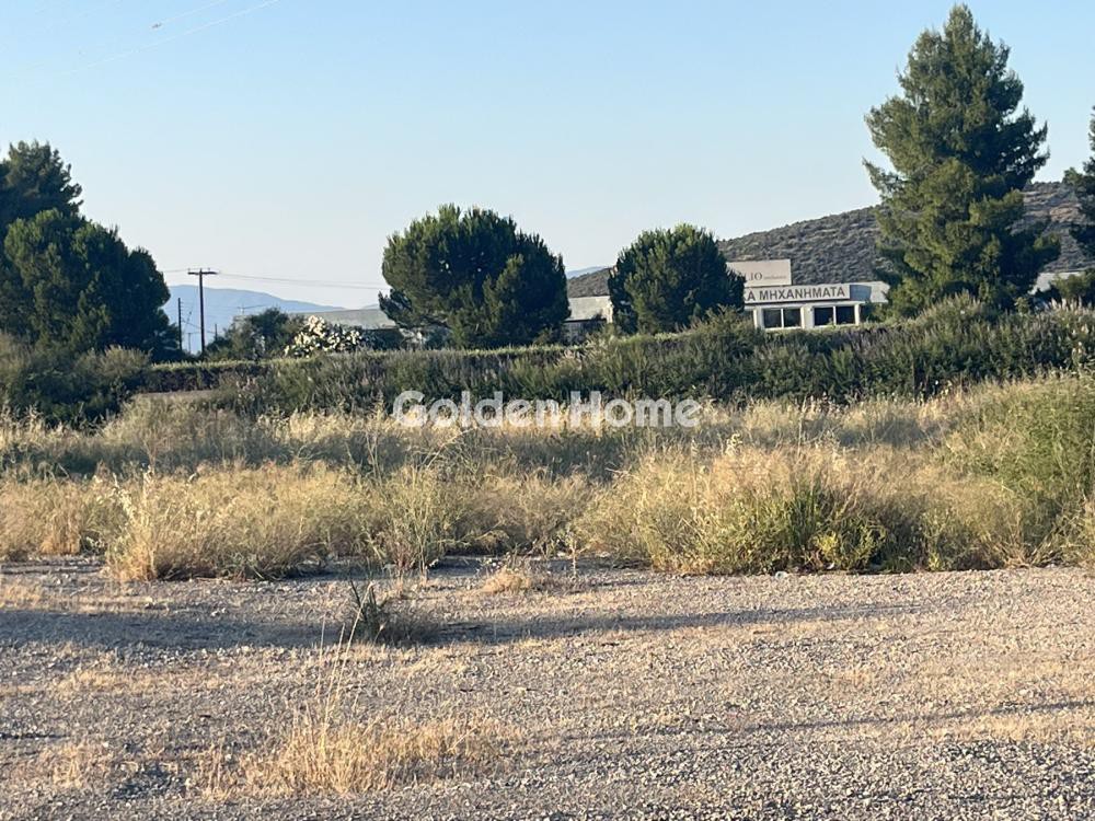 Αγροτεμάχια 4.300 τ.μ. προς πώληση, Κυπαρίσσι Αταλάντης