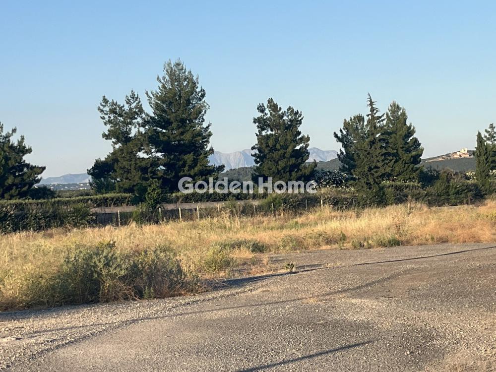 Αγροτεμάχια 4.300 τ.μ. προς πώληση, Κυπαρίσσι Αταλάντης