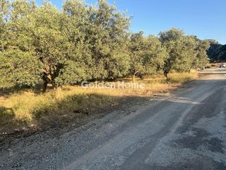 Οικόπεδο 4.300 τ.μ. για πώληση
