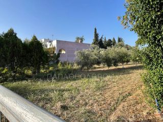 Οικόπεδο 1.300 τ.μ. για πώληση