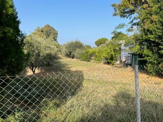 Οικόπεδο 1.300 τ.μ. για πώληση, Αχαΐα, Μεσσατίδα-thumb-2