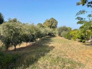 Οικόπεδο 1.300 τ.μ. για πώληση, Αχαΐα, Μεσσατίδα-thumb-1