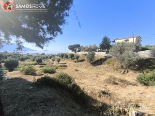 Οικόπεδο 9.800 τ.μ. για πώληση, Ν. Σάμου, Σάμος-thumb-3
