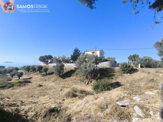 Οικόπεδο 9.800 τ.μ. για πώληση, Ν. Σάμου, Σάμος-thumb-5