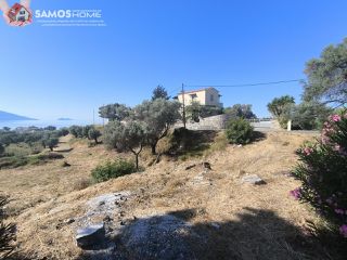 Οικόπεδο 9.800 τ.μ. για πώληση, Ν. Σάμου, Σάμος-thumb-7