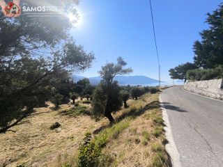 Οικόπεδο 9.800 τ.μ. για πώληση, Ν. Σάμου, Σάμος-thumb-8