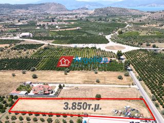 Αγροτεμάχια 3.850 τ.μ. για πώληση