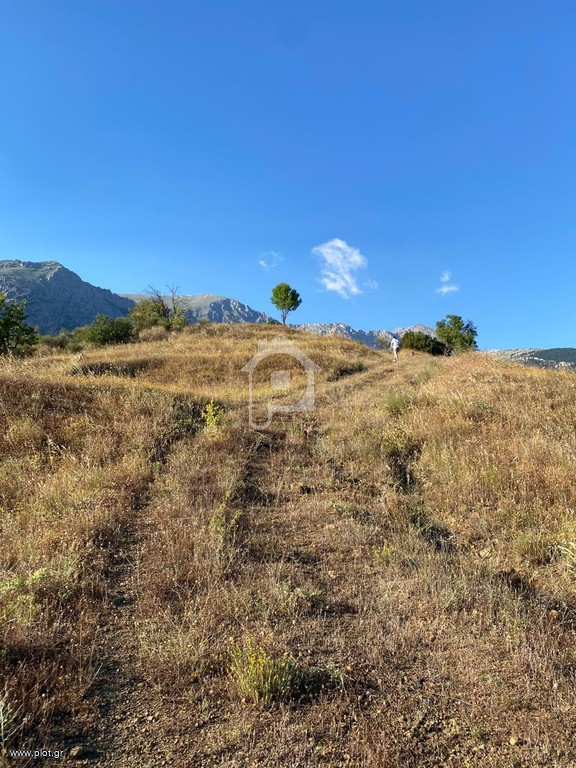 Αγροτεμάχια 8.128 τ.μ. πρός πώληση, Βοιωτία, Αράχοβα