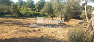 Αγροτεμάχια 1.288 τ.μ. για πώληση