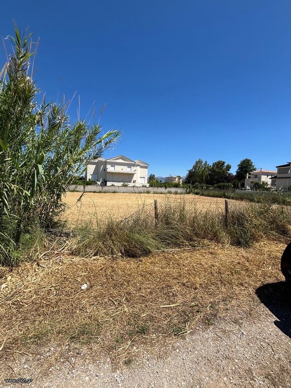 Οικόπεδο 1.300 τ.μ. πρός πώληση, Αττική - Υπόλοιπο, Ωρωπός