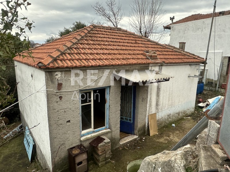 Μονοκατοικία 65 τ.μ. πρός πώληση, Μαγνησία, Τρικέρι
