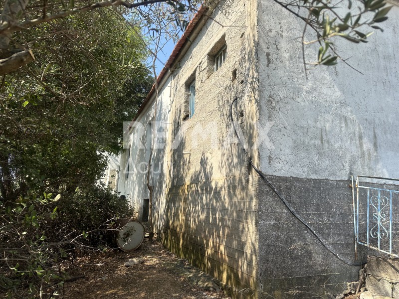 Μονοκατοικία 65 τ.μ. πρός πώληση, Μαγνησία, Τρικέρι