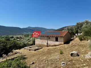 Μονοκατοικία 65 τ.μ. για πώληση, Αργολίδα, Λέρνα-thumb-11