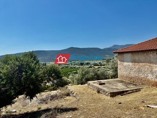 Μονοκατοικία 65 τ.μ. για πώληση, Αργολίδα, Λέρνα-thumb-10