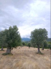 Αγροτεμάχια 20.000 τ.μ. για πώληση, Εύβοια, Δίρφυς-thumb-1