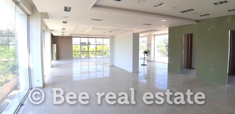 Γραφείο 238 τ.μ. πρός ενοικίαση, Θεσσαλονίκη - Περιφ/Κοί Δήμοι, Πυλαία