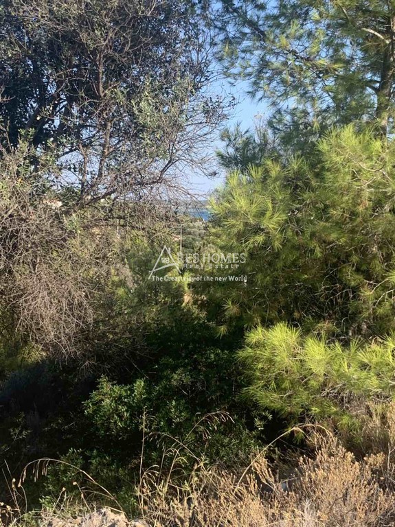 Οικόπεδο 360 τ.μ. προς πώληση, Αργολίδα, Κρανίδι