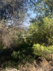 Οικόπεδο 360 τ.μ. πρός πώληση, Αργολίδα, Κρανίδι-thumb-4