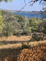Οικόπεδο 360 τ.μ. πρός πώληση, Αργολίδα, Κρανίδι-thumb-5
