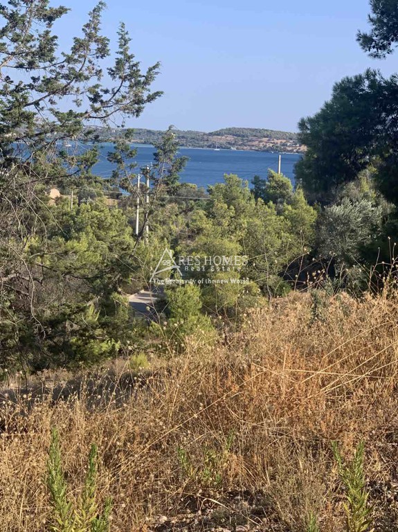 Οικόπεδο 360 τ.μ. προς πώληση, Αργολίδα, Κρανίδι