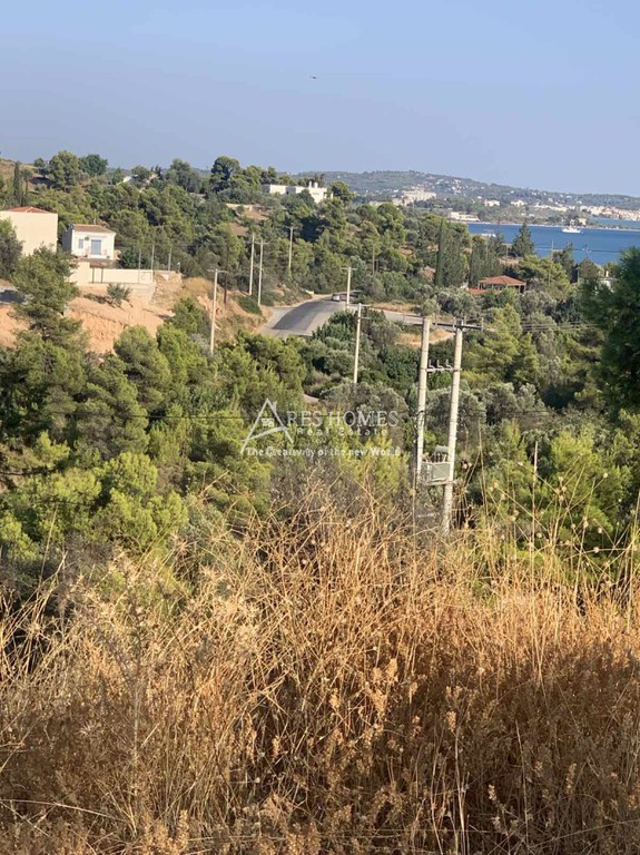 Οικόπεδο 360 τ.μ. προς πώληση, Αργολίδα, Κρανίδι