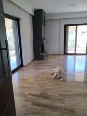 Διαμέρισμα 120 τ.μ. για ενοικίαση