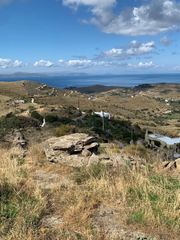 Οικόπεδο 5.300 τ.μ. για πώληση
