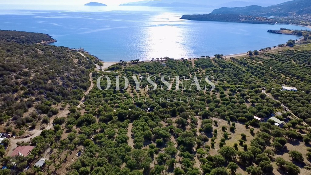 Αγροτεμάχια 672 τ.μ. πρός πώληση, Ν. Λασιθίου, Άγιος Νικόλαος