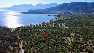 Αγροτεμάχια 672 τ.μ. για πώληση