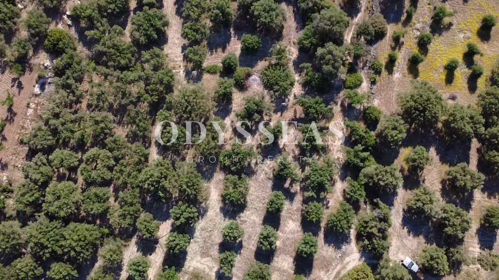 Αγροτεμάχια 672 τ.μ. πρός πώληση, Ν. Λασιθίου, Άγιος Νικόλαος